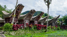 09 Tongkonan traditional ancestral houses