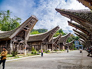 Tana Toraja photo gallery
