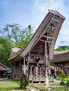 11 Tongkonan traditional house