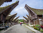17 Tongkonan traditional ancestral houses