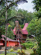 29 Tongkonan traditional houses