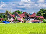 15 Farmer houses and rice field