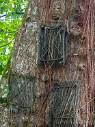 11 Kambira baby graves in tree