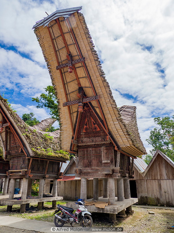 14 Tongkonan traditional ancestral houses