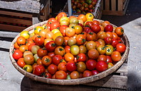 04 Tomatoes