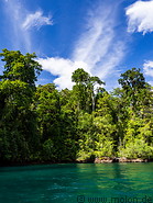 07 Rainforest on Gam island