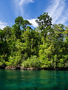 08 Rainforest on Gam island