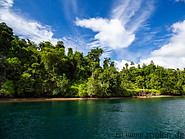 10 Rainforest on Gam island