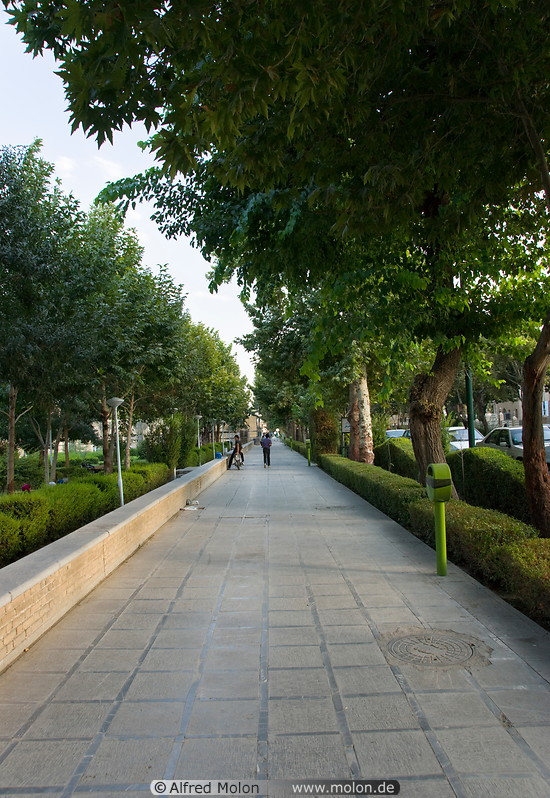 13 Tree lined pavement