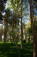 13 Persian garden with trees