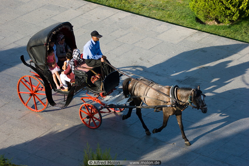 12 Horse carriage