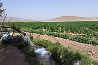 24 Water well and irrigated fields