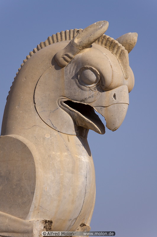 11 Achaemenid griffin statue