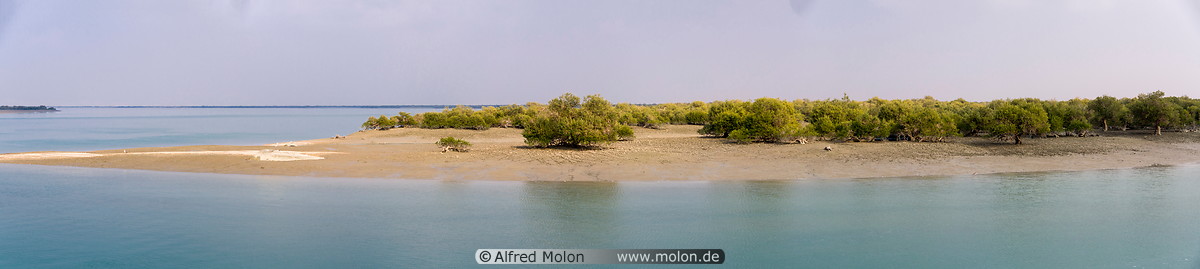 01 Harra mangroves