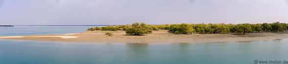 Harra mangrove forest photo gallery  - 13 pictures of Harra mangrove forest