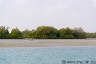 07 Harra mangroves