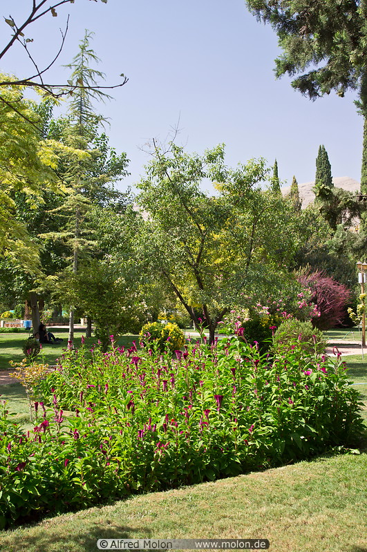 05 Persian garden