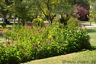 04 Persian garden