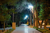 12 Shiraz park at night