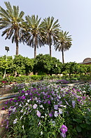 04 Bagh-e Narenjestan garden