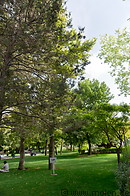 06 Lawn and trees