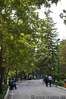 14 Mellat park pathway