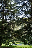 07 Park with trees