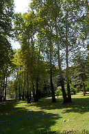 09 Park with trees
