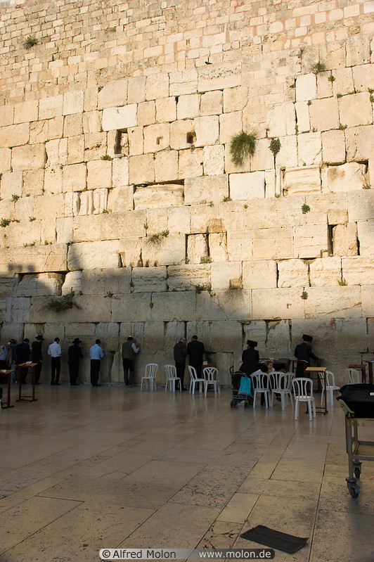 12 Jews praying along wall