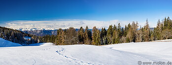 04 Snow covered mountain meadow
