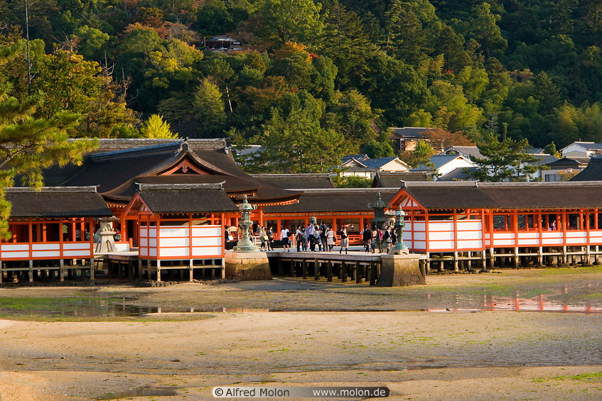 14 Pier and shrine buildings on stilts