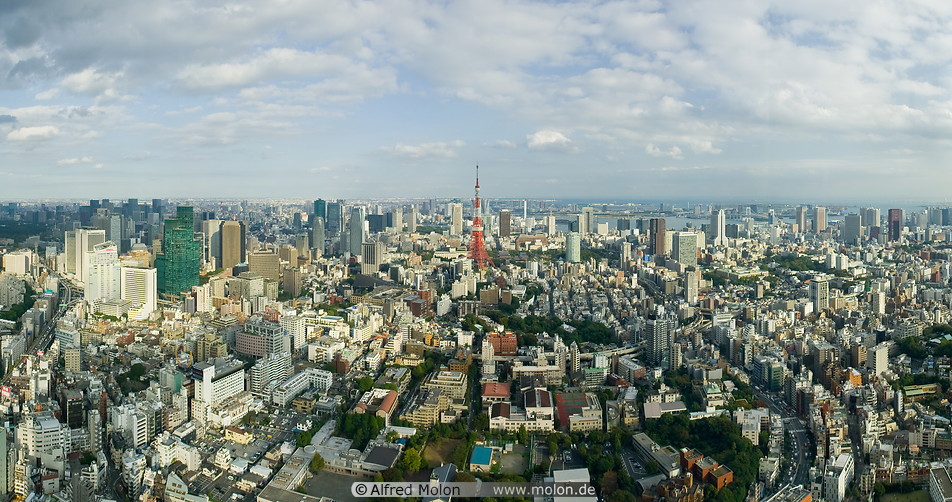 05 Skyline of central Tokyo