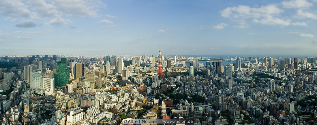 06 Skyline of central Tokyo