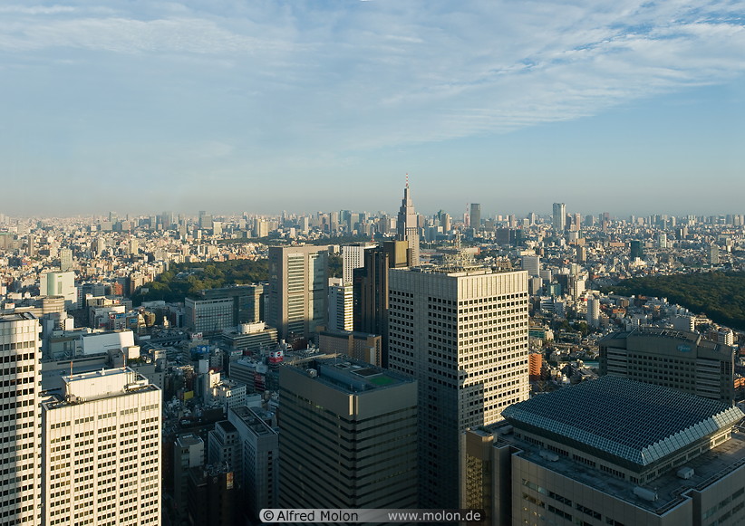 08 Shinjuku skyline