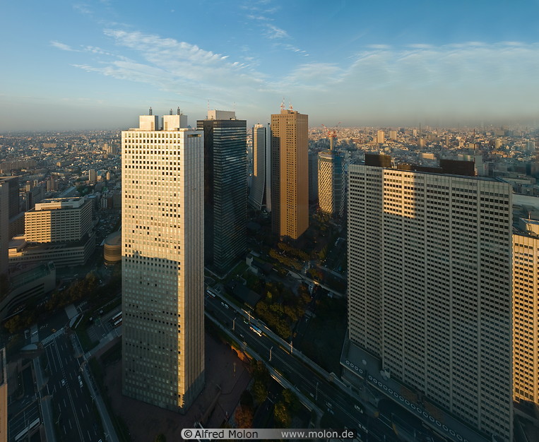 11 Sumitomo, Mitsui, Shinjuku Centre buildings and Keio Plaza hotel