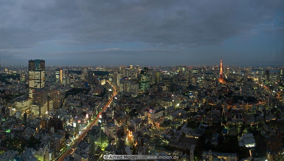 08 Central Tokyo skyline at night