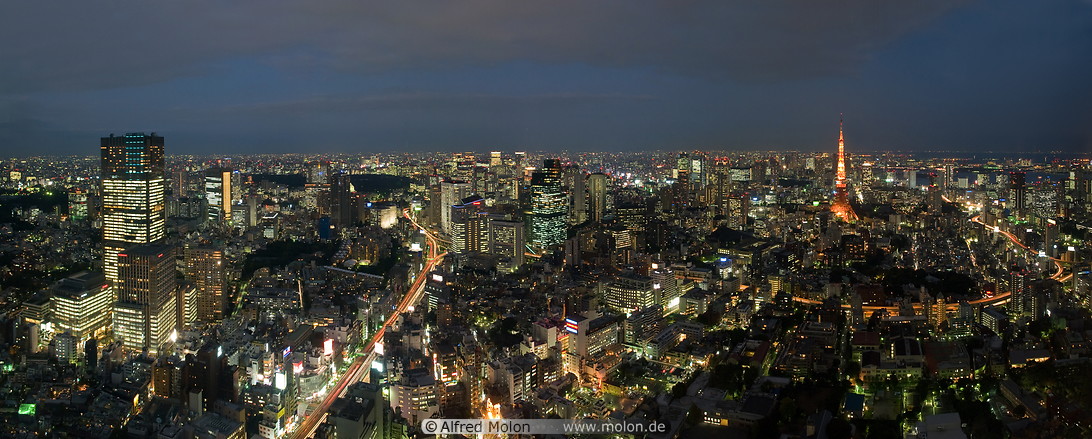 10 Central Tokyo skyline at night