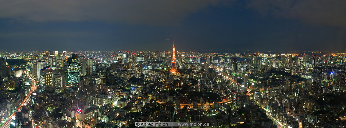 12 Central Tokyo skyline at night