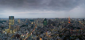 03 Central Tokyo skyline at dusk