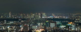 14 Central Tokyo skyline at night