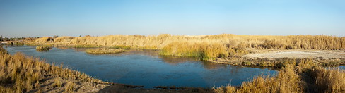 Azraq wetlands reserve photo gallery  - 10 pictures of Azraq wetlands reserve