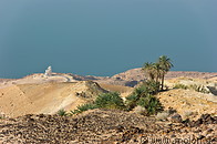 07 Dead Sea coast and palm tree