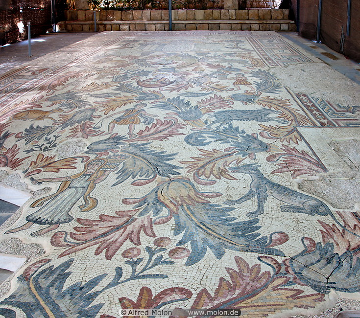 06 Floor mosaics