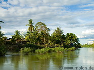 03 Palm trees along shore