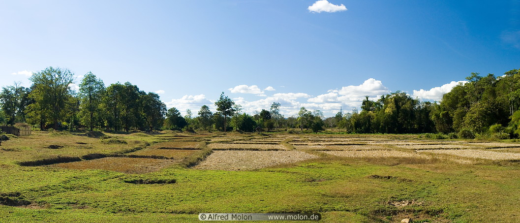 20 Panorama view with dry rice paddies