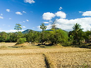 21 Dry rice fields