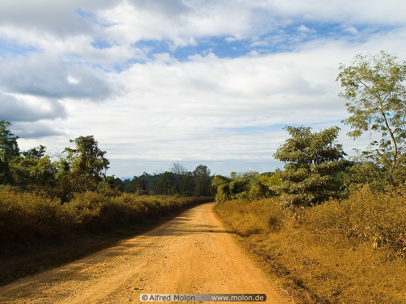 02 Road in Bolaven plateau