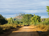 03 Road in Bolaven plateau
