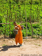 12 Buddhist monk carrying buckets