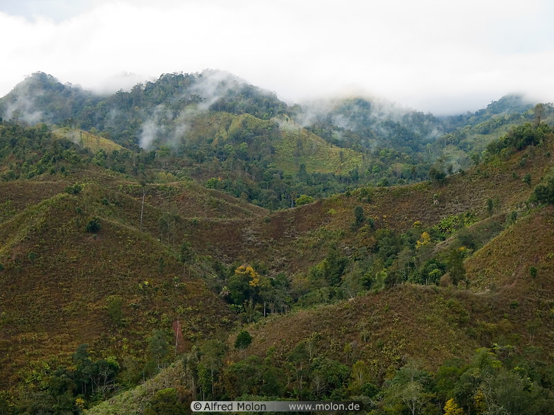 21 Deforestation in Laos